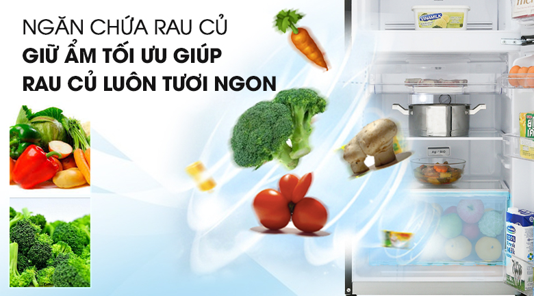 Tủ lạnh Toshiba Inverter 180 lít GR-B22VU UKG 