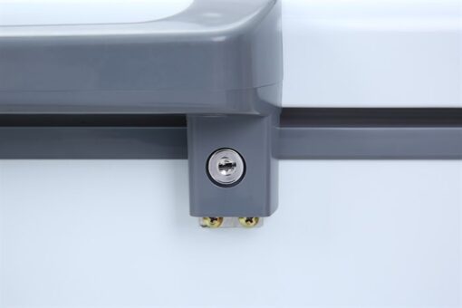 Tủ đông Darling Inverter 260 lít DMF-3699-WSI-4