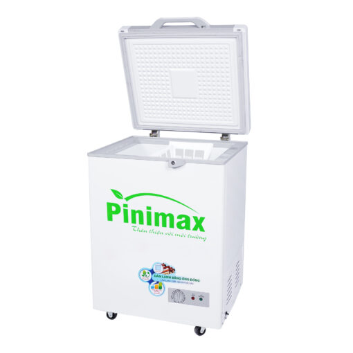 Tủ đông Pinimax 150 lít PNM-15AF