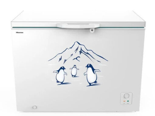 Tủ đông Inverter 300 lít Hisense FC380D4EWC1