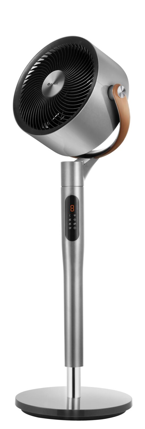 Quạt tuần hoàn FXDZWK-2305BG5