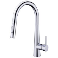Vòi rửa 2 đường nước Roslerer RL-168