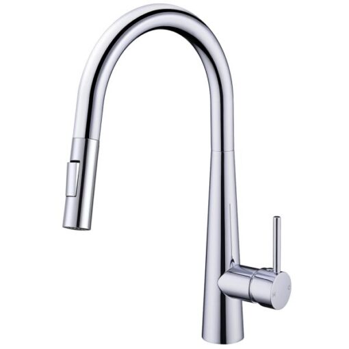 Vòi rửa 2 đường nước Roslerer RL-168