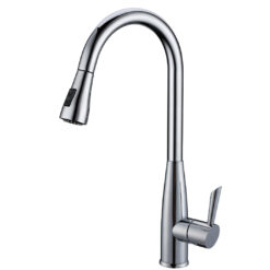 Vòi rửa 2 đường nước Roslerer RL-268