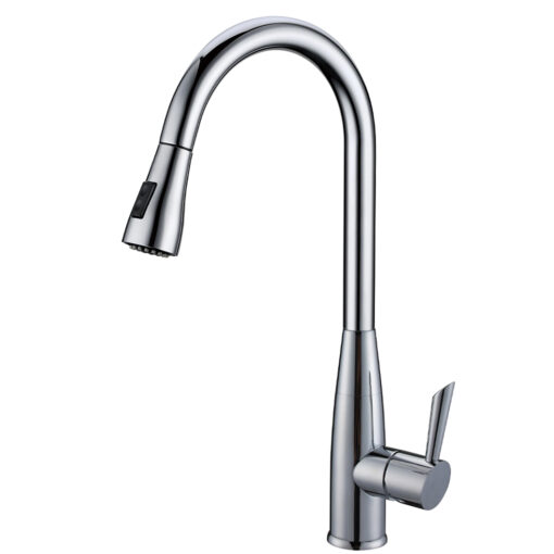Vòi rửa 2 đường nước Roslerer RL-268
