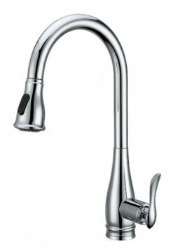 Vòi rửa 2 đường nước Roslerer RL-668