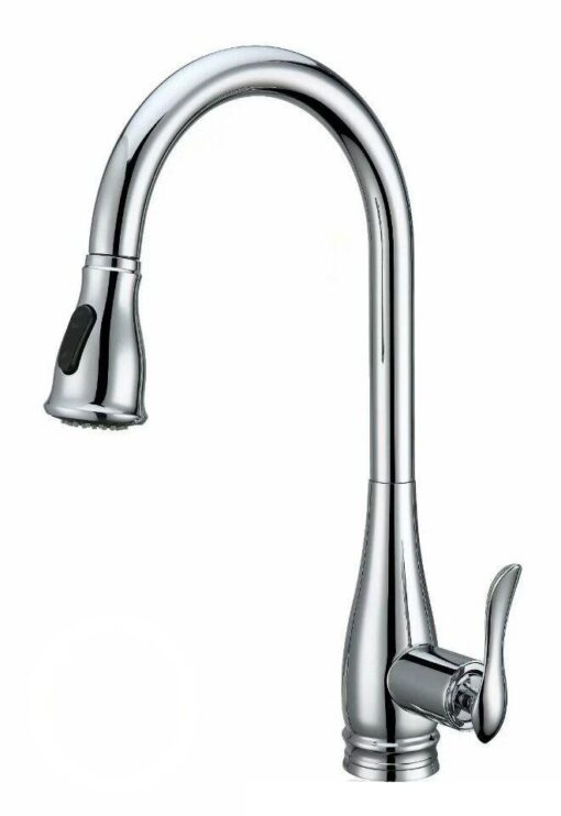 Vòi rửa 2 đường nước Roslerer RL-668