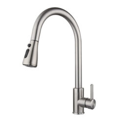 Vòi rửa 2 đường nước Roslerer RL-805
