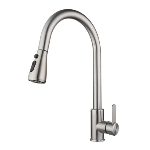 Vòi rửa 2 đường nước Roslerer RL-805