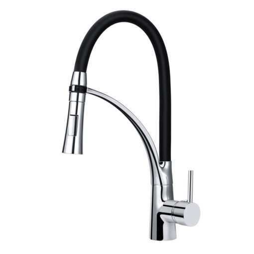 Vòi rửa 2 đường nước cao cấp Roslerer RL-909 Black