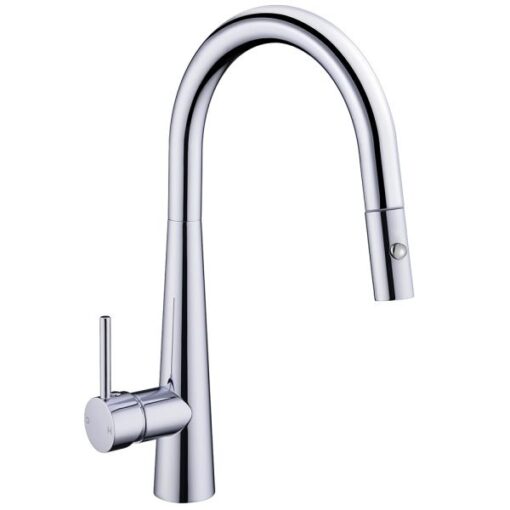 Vòi rửa 2 đường nước cao cấp Roslerer RL-968