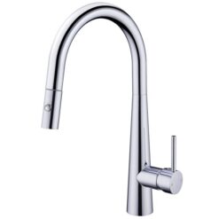 Vòi rửa 2 đường nước cao cấp Roslerer RL-968