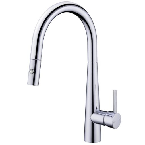 Vòi rửa 2 đường nước cao cấp Roslerer RL-968