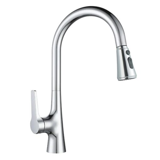 Vòi rửa 2 đường nước 3 chế độ Roslerer RL-986