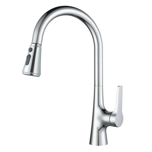 Vòi rửa 2 đường nước 3 chế độ Roslerer RL-986