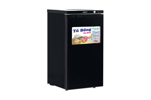 Tủ đông Sanaky 118 lít VH-160K