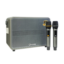 Loa Arirang AM3 Grey bass 20cm 7.5kg 100W Bluetooth 5.0 kèm 2 Mic