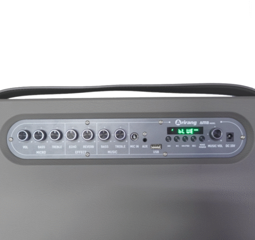 Loa Arirang AM3 Grey bass 20cm 7.5kg 100W Bluetooth 5.0 kèm 2 Mic