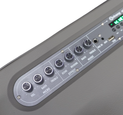 Loa Arirang AM3 Grey bass 20cm 7.5kg 100W Bluetooth 5.0 kèm 2 Mic