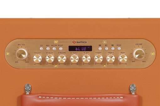 Loa karaoke xách tay Sumico 250W 2 micro kèm điều khiển BT-S82