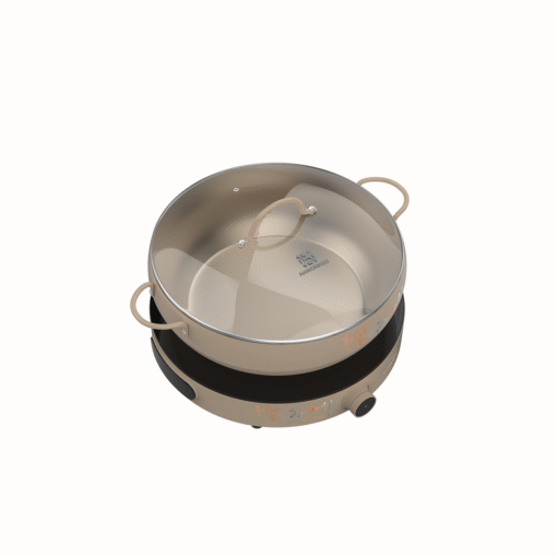 Bếp từ đơn Hawonkoo CEH-101-I-CF
