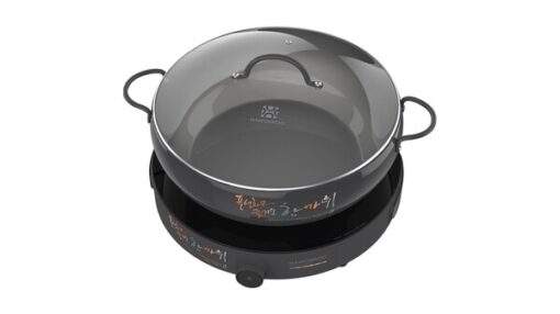 Bếp từ đơn Hawonkoo CEH-101-I-GR