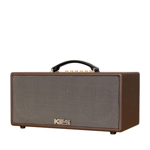 Loa karaoke Acnos 2 micro CS366 PLUS 750W