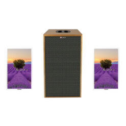 Loa tranh Sumico 250W gỗ MDF Canvas 1008 phòng 60m2