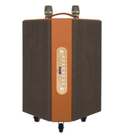 Loa Sumico Hexagon Plus, Bass 16.5cm, 250W, Pin 8h, Đa Hướng, 2 Micro 20kg