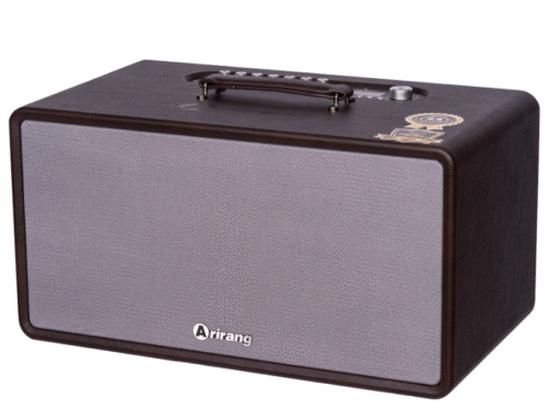 Loa Arirang MB2s bass 20cm 270W 14.3kg Bluetooth 5.0 kèm 2 Micro