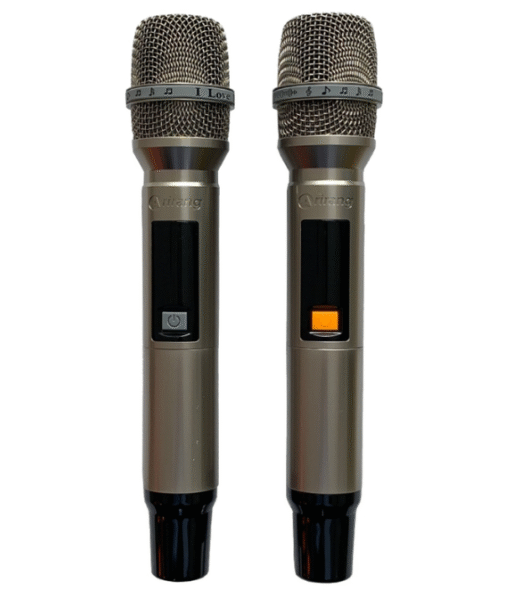 Loa Arirang MB2s bass 20cm 270W 14.3kg Bluetooth 5.0 kèm 2 Micro