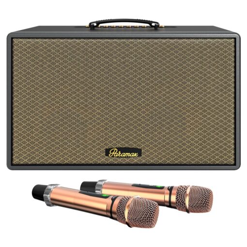 Loa xách tay Paramax Saga Black bass 20cm 300W 16kg kèm 2 micro