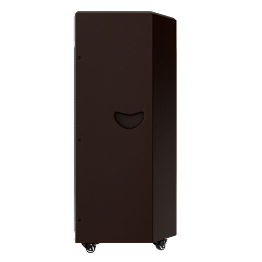 Loa Dalton TS-21A2000 bass 53.3cm bluetooth 5.2 2000W 59kg kèm 2 micro