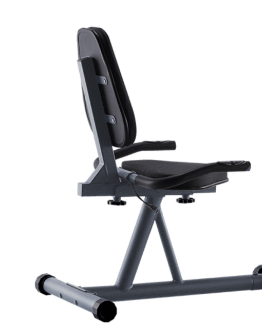 Xe đạp thể dục trong nhà Daikiosan Đại Việt VT101 100kg