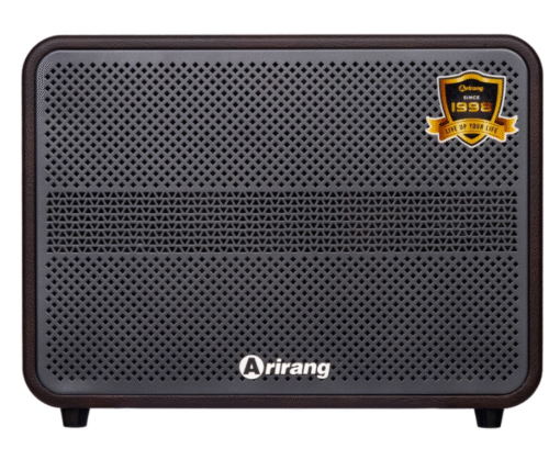 Loa Arirang AM3 Brown bass 20cm 7.5kg 100W Bluetooth 5.0 kèm 2 Mic