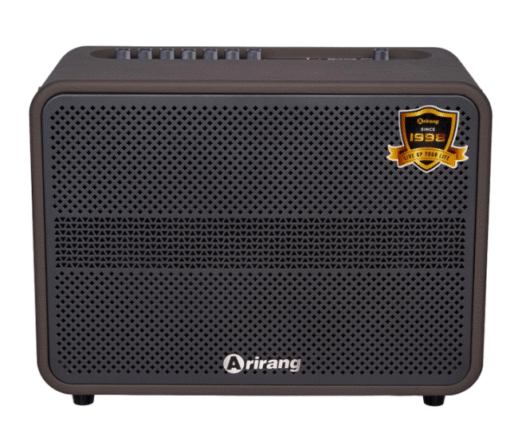 Loa Arirang AM3 Grey bass 20cm 7.5kg 100W Bluetooth 5.0 kèm 2 Mic