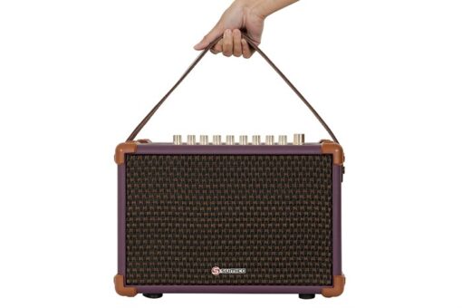 Loa karaoke xách tay Sumico 100W 2 micro kèm điều khiển BELLA 42 Purple