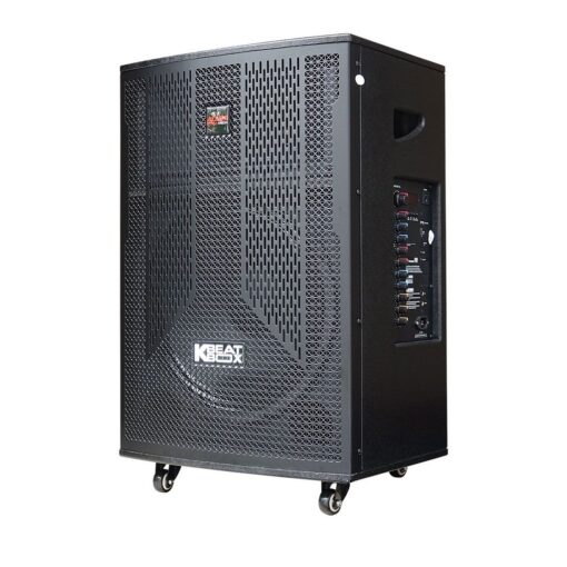 Loa karaoke Acnos CB41N650 bass 40cm 33kg 130W kèm 2 Micro