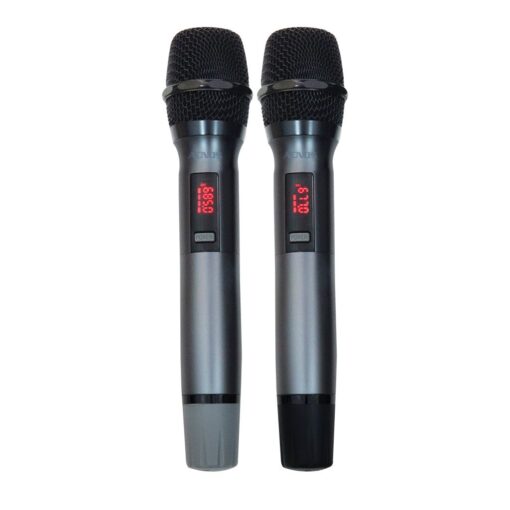 Loa karaoke Acnos CB41N650 bass 40cm 33kg 130W kèm 2 Micro