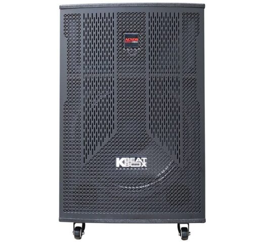 Loa karaoke Acnos CB41N650 bass 40cm 33kg 130W kèm 2 Micro