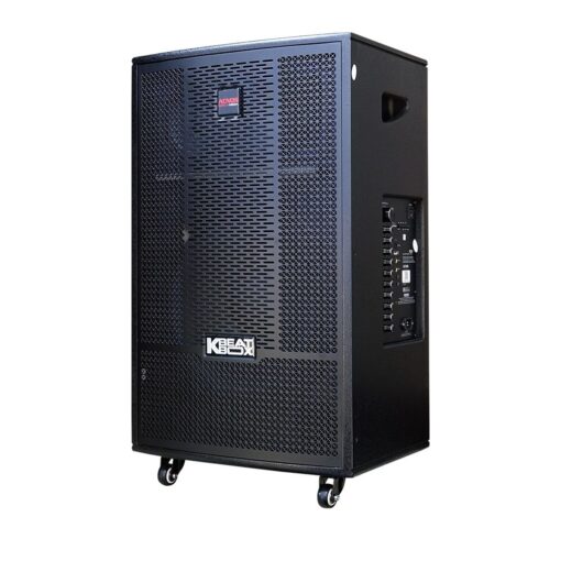 Loa karaoke Acnos CB41Neo bass 40cm 200W 35.5kg kèm 2 Micro