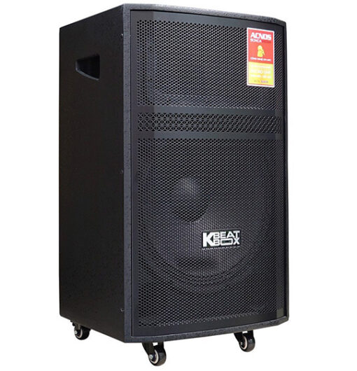 Loa Acnos CB99PRO bass 40cm 450W 19.5kg kèm 2 micro
