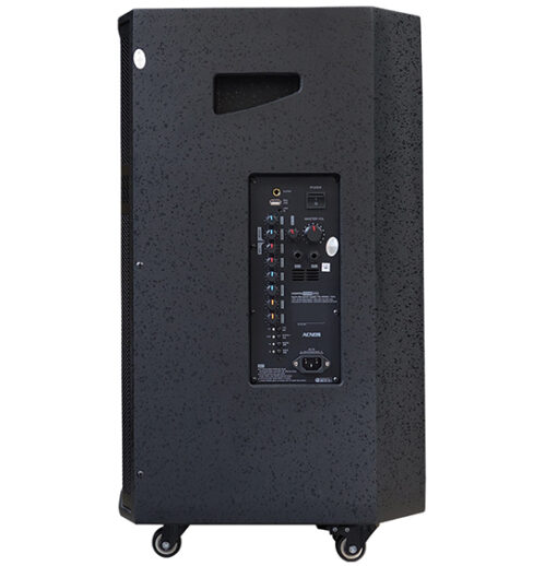 Loa Acnos CB99PRO bass 40cm 450W 19.5kg kèm 2 micro
