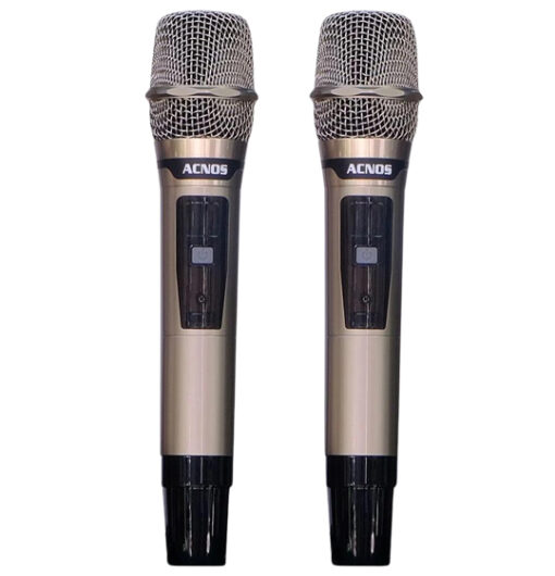 Loa Acnos CB99PRO bass 40cm 450W 19.5kg kèm 2 micro