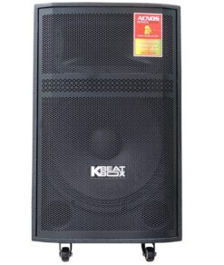 Loa Acnos CB99PRO bass 40cm 450W 19.5kg kèm 2 micro