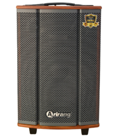 Loa Arirang MKS2.5, Bass 30cm 11kg 100W bluetooth, USB, Guitar kèm 2 micro