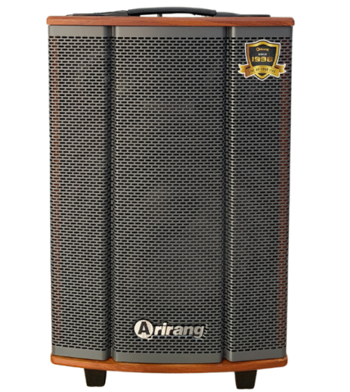 Loa Arirang MKS2.5, Bass 30cm 11kg 100W bluetooth, USB, Guitar kèm 2 micro