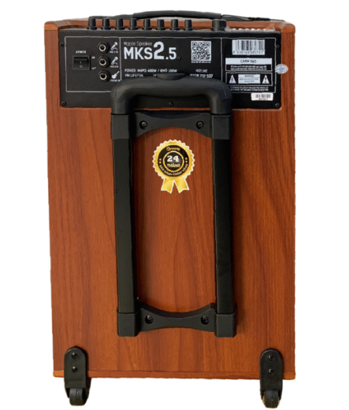 Loa Arirang MKS2.5, Bass 30cm 11kg 100W bluetooth, USB, Guitar kèm 2 micro