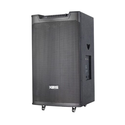 Loa karaoke Acnos di động Top 530 bass 50cm 50kg 300W Bluetooth 2 Micro