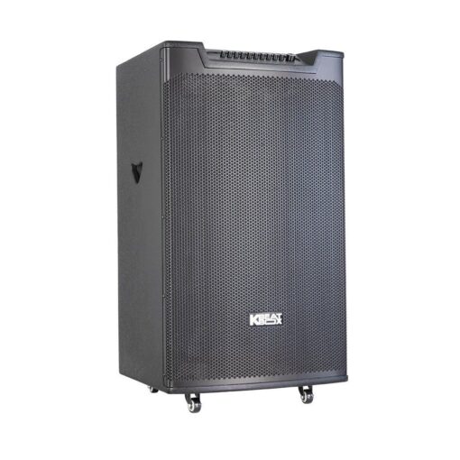 Loa karaoke Acnos di động Top 530 bass 50cm 50kg 300W Bluetooth 2 Micro